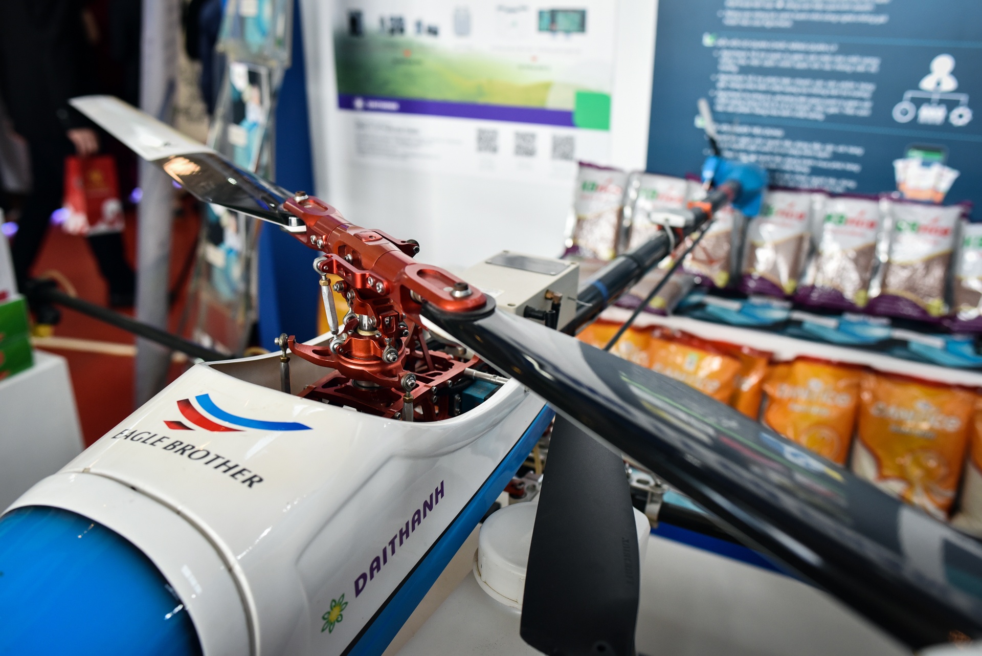 trien lam thanh tuu 10 nam tam nong anh 8