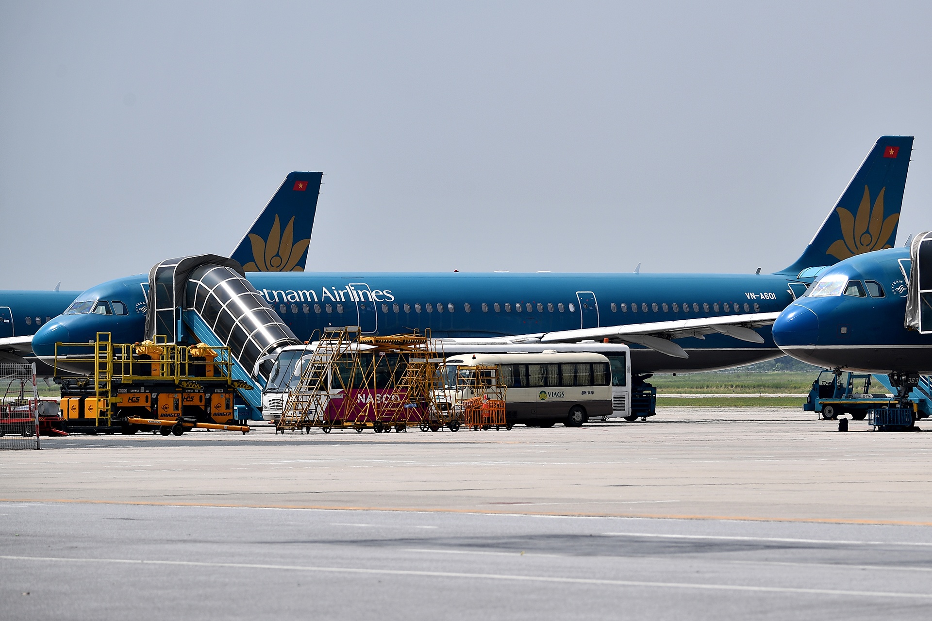 bamboo airways bao giờ bay ảnh 3 bamboo airways bao gio bay anh 3