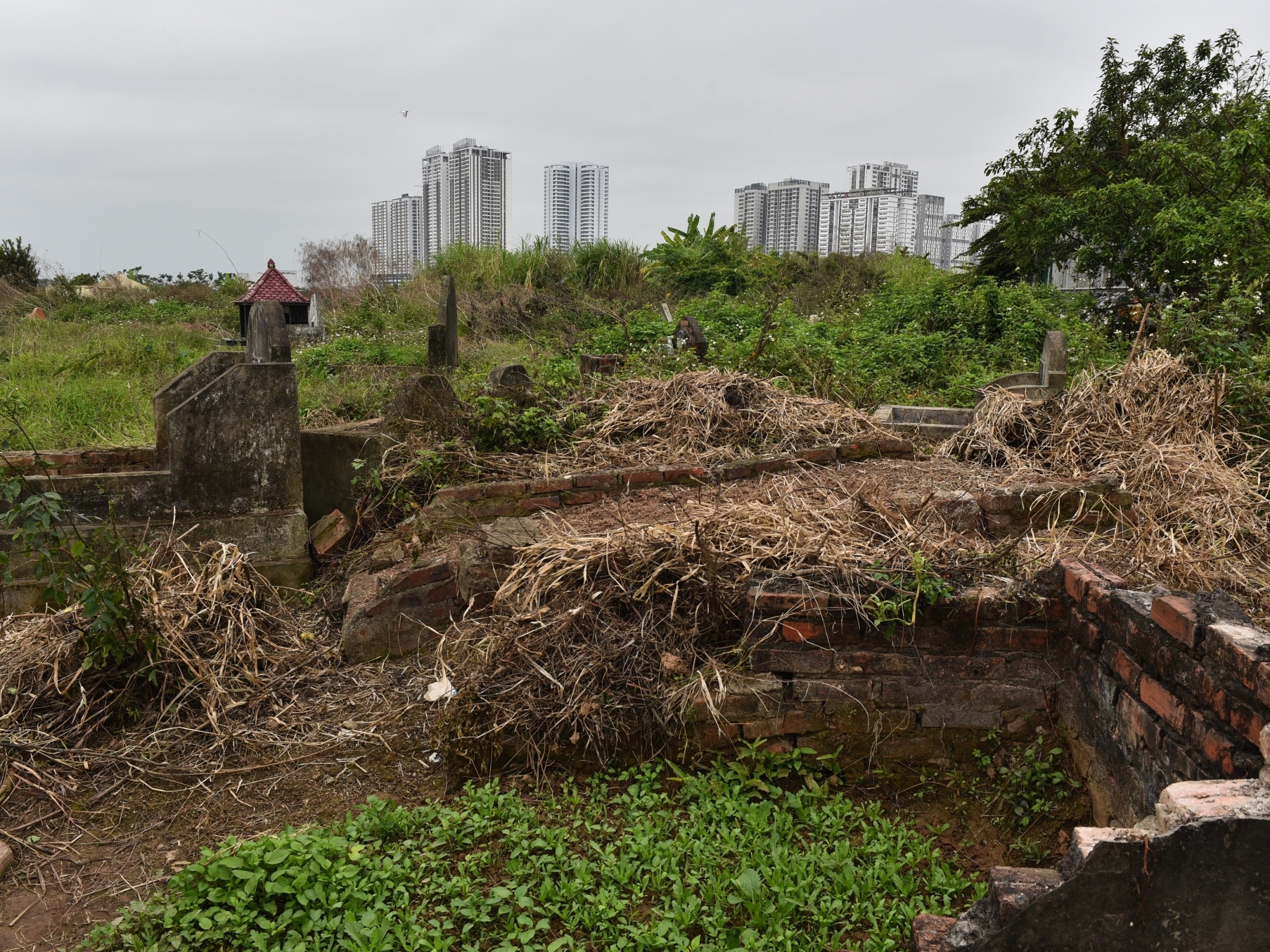 khu hanh chinh tay ho tay anh 7