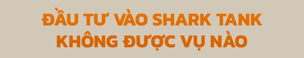 phong van shark Phu anh 14
