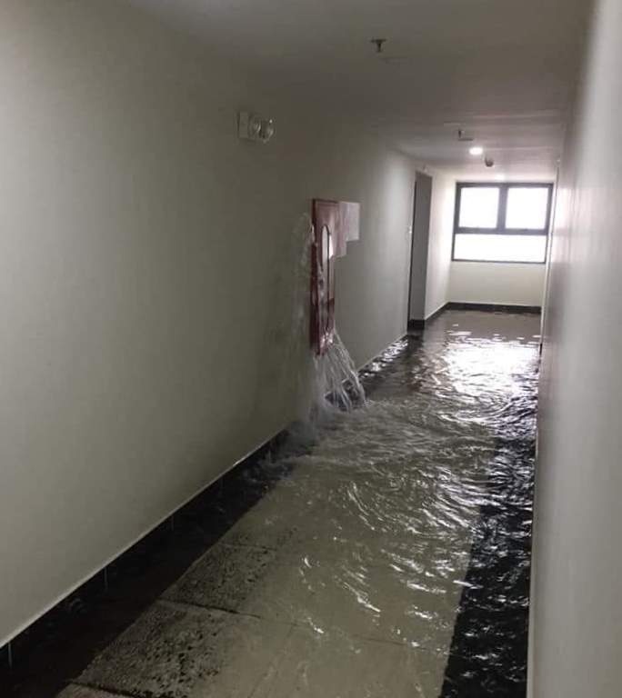 vo duong ong cuu hoa chung cu geleximco anh 1