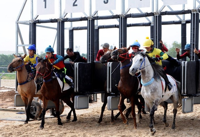 Dai gia Han den Ha Noi xin day nhanh du an truong dua ngua o Soc Son hinh anh