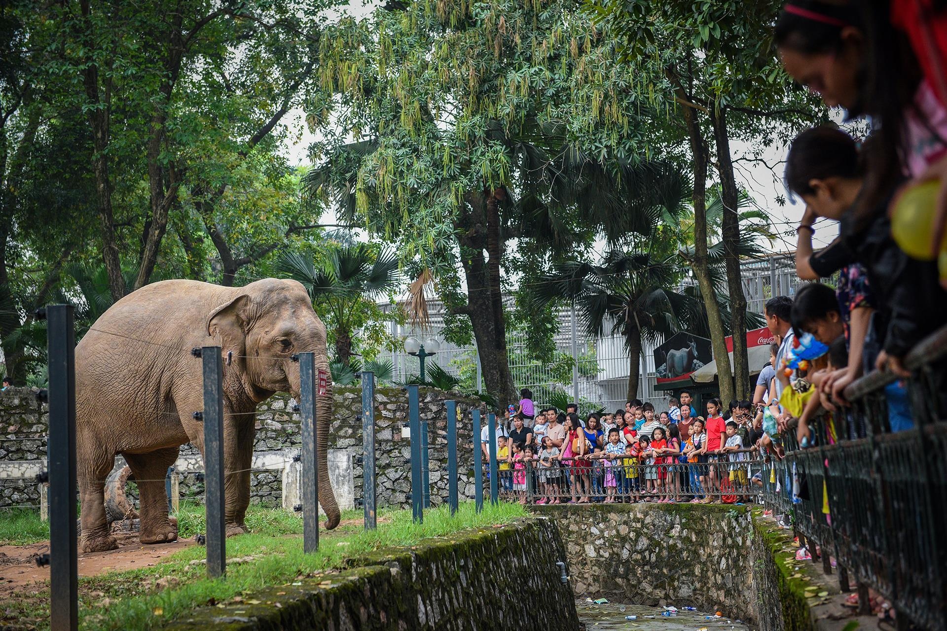 xen dat cong vien anh 9