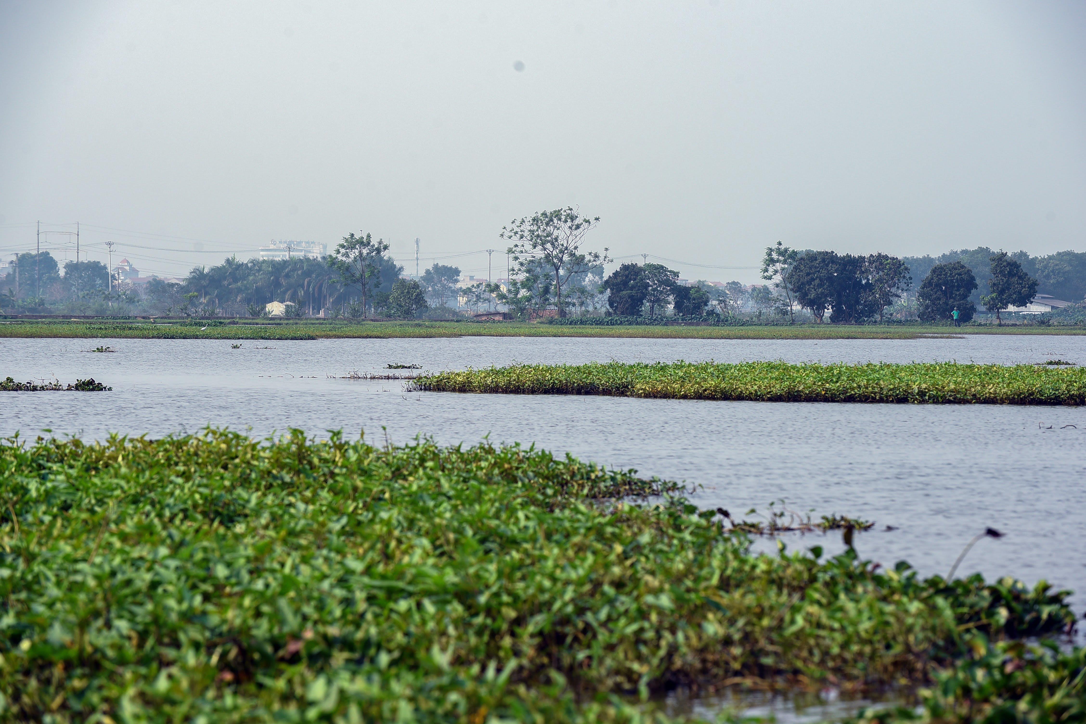 cong vien kim quy ha noi bo hoang anh 12