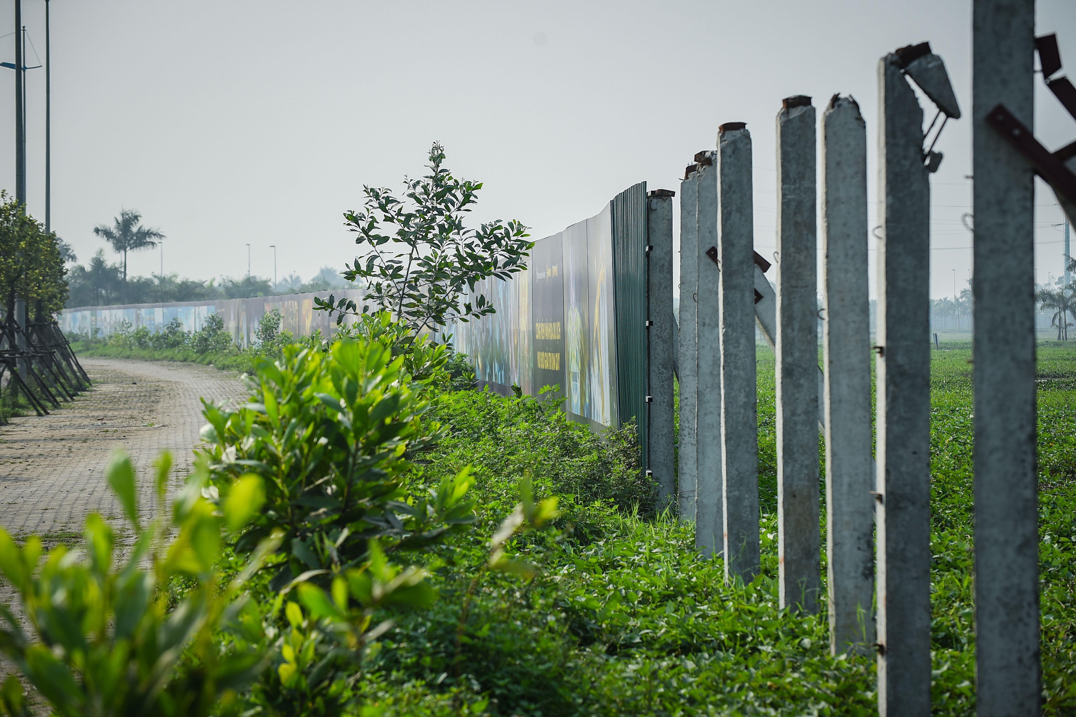 cong vien kim quy ha noi bo hoang anh 11