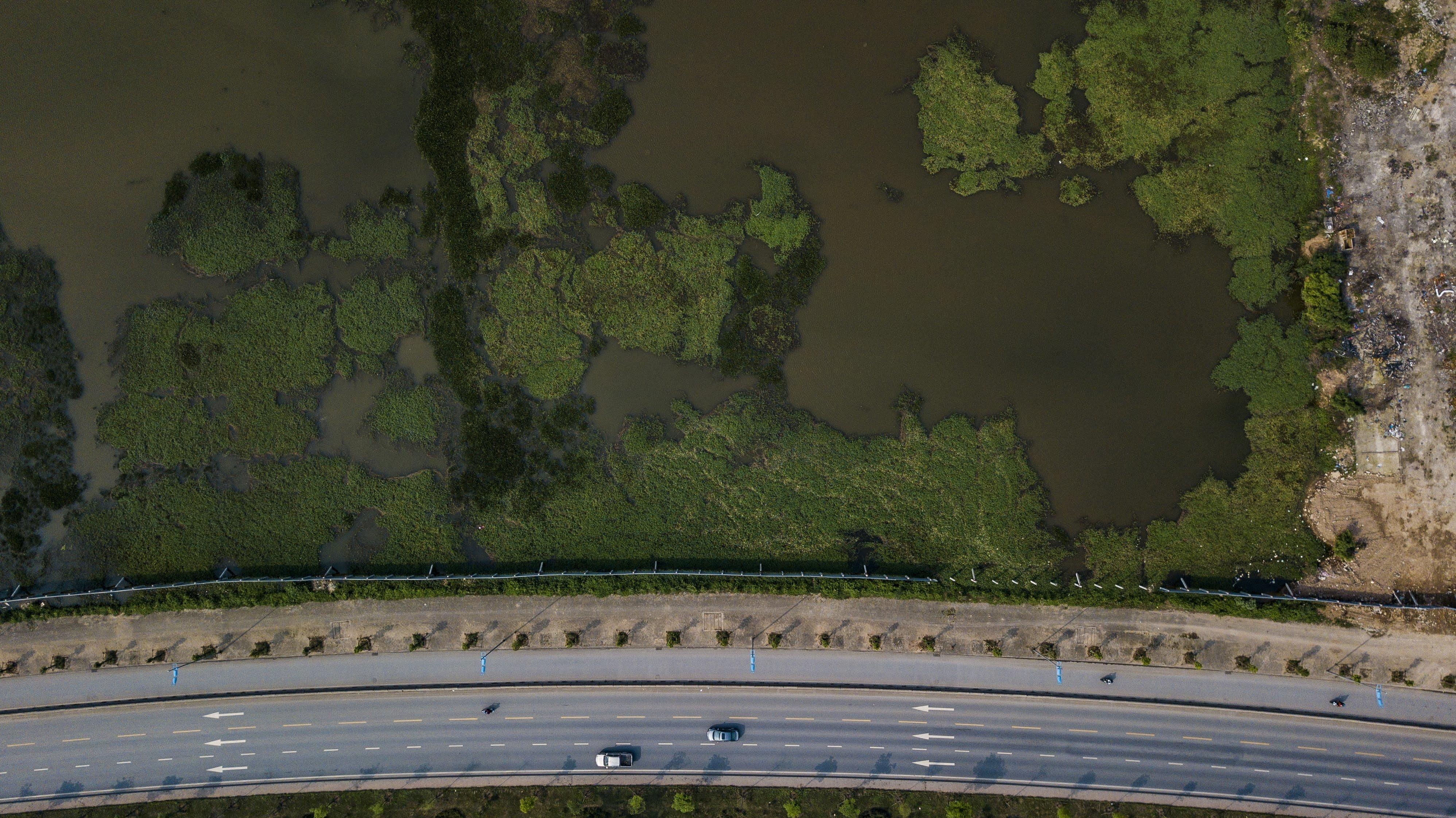 cong vien kim quy ha noi bo hoang anh 13