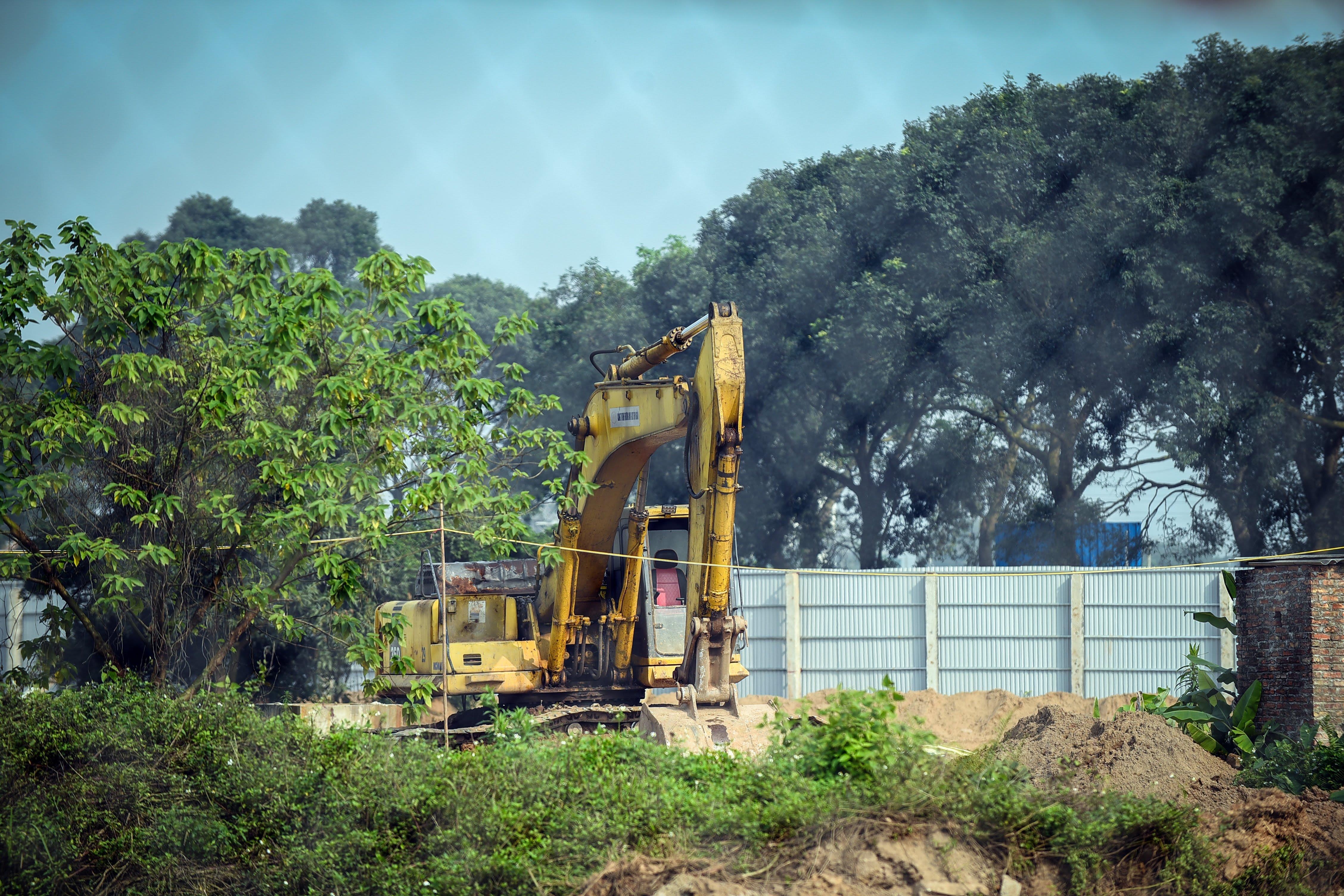 cong vien kim quy ha noi bo hoang anh 10