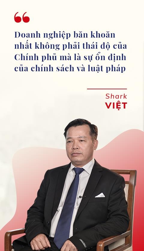 shark nguyen thanh viet anh 6
