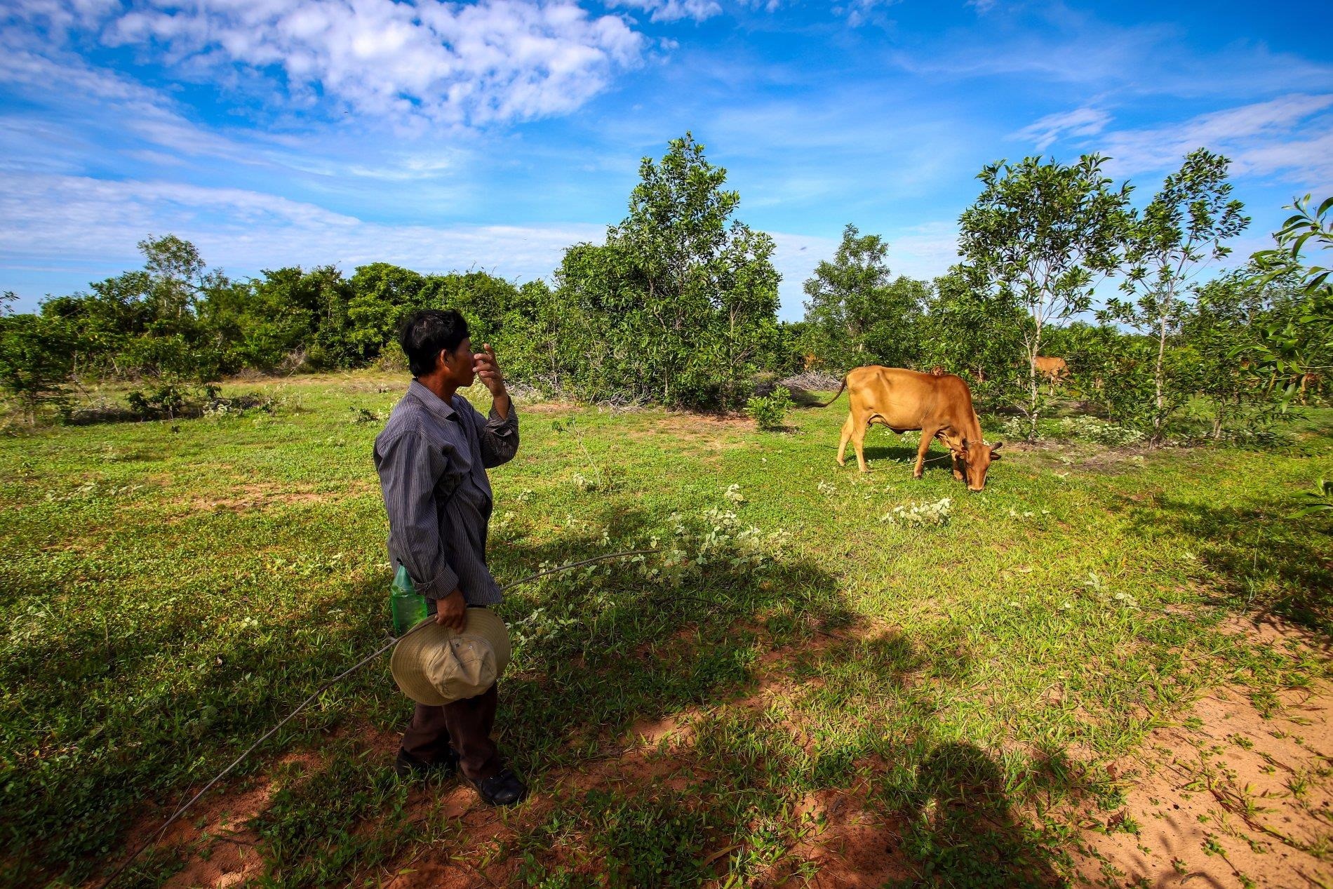 mô hình kinh doanh của alibaba ảnh 1 mo hinh kinh doanh cua alibaba anh 1