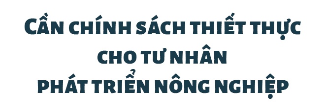 doanh nghiep tu nhan anh 7