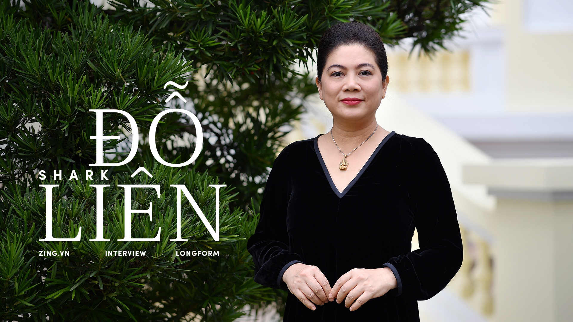 shark do lien anh 15