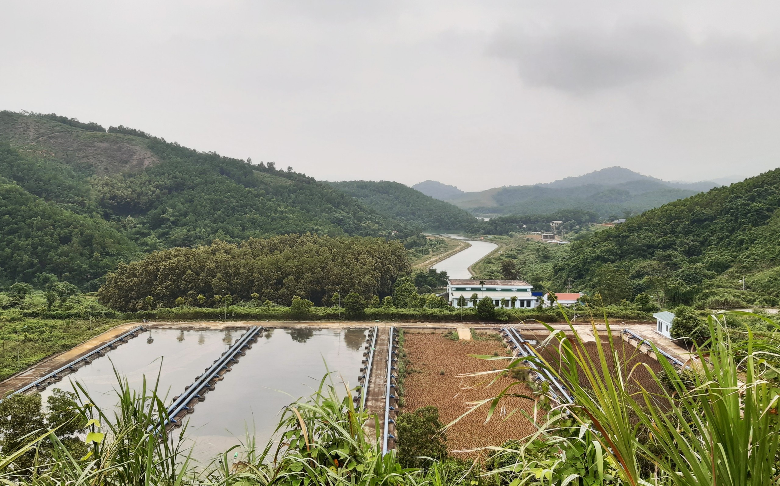 ong chu nuoc sach song da anh 1