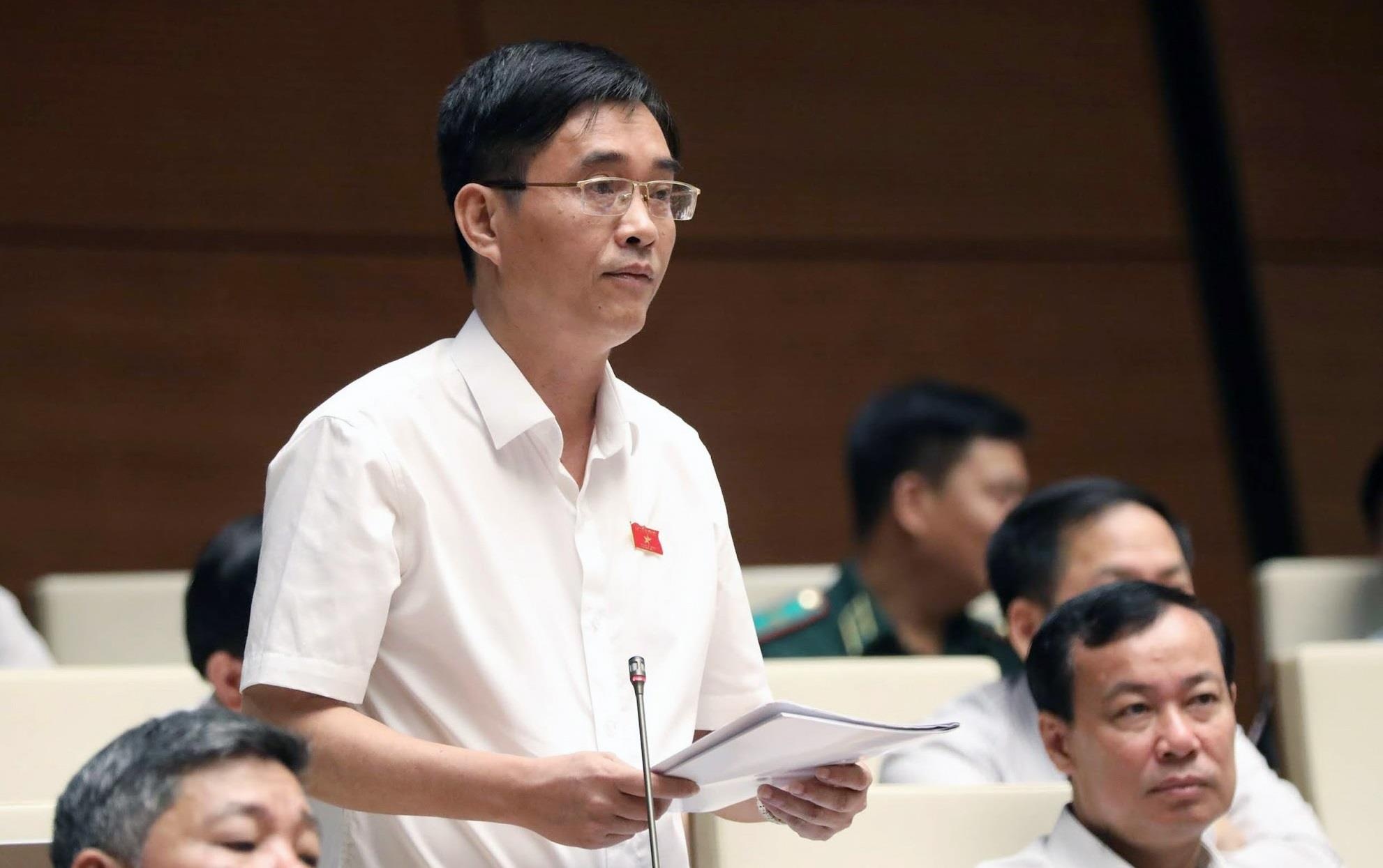 'Viet Nam van thu nhap trung binh thap, chua hoa rong, hoa ho' hinh anh