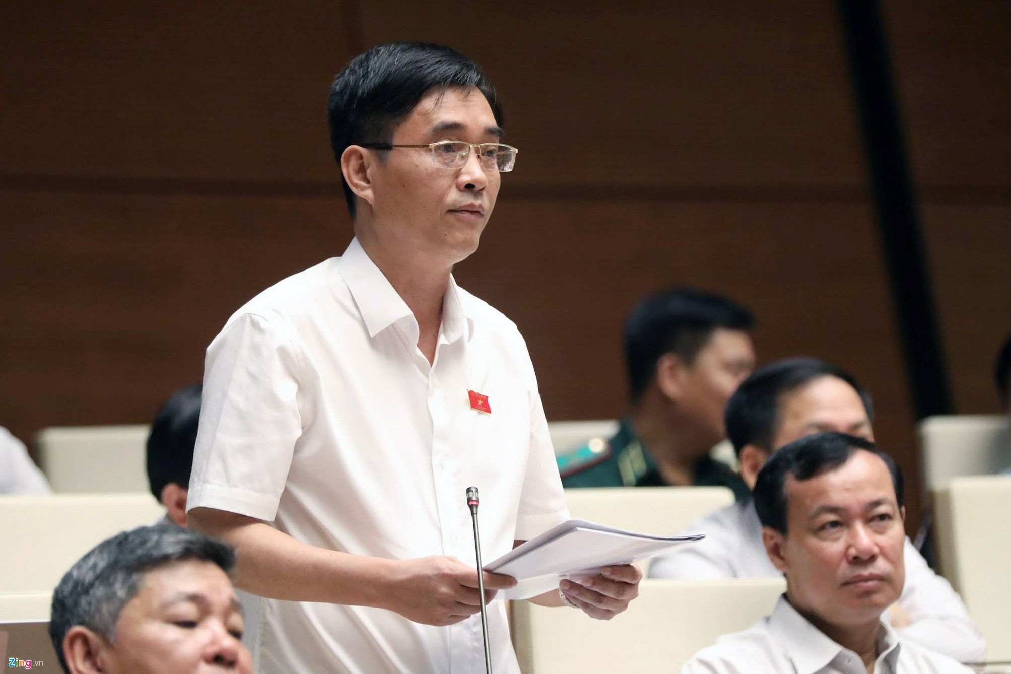 viet nam chua hoa rong hoa ho anh 1