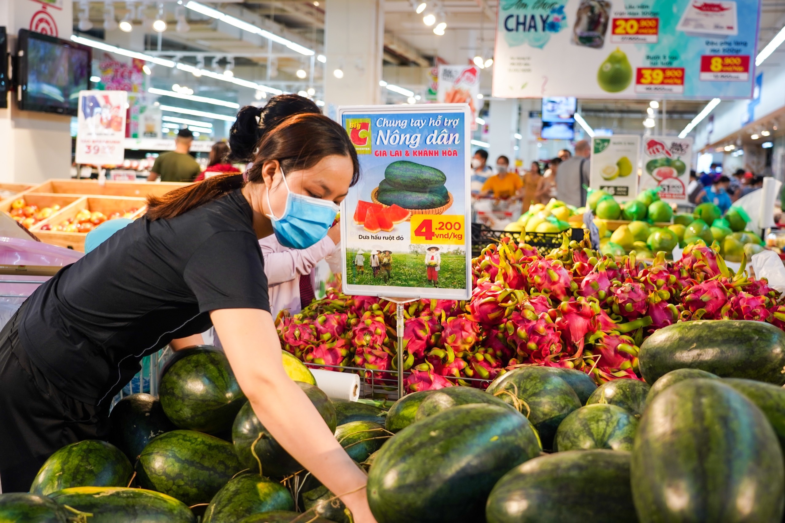 giai cuu nong san anh 2