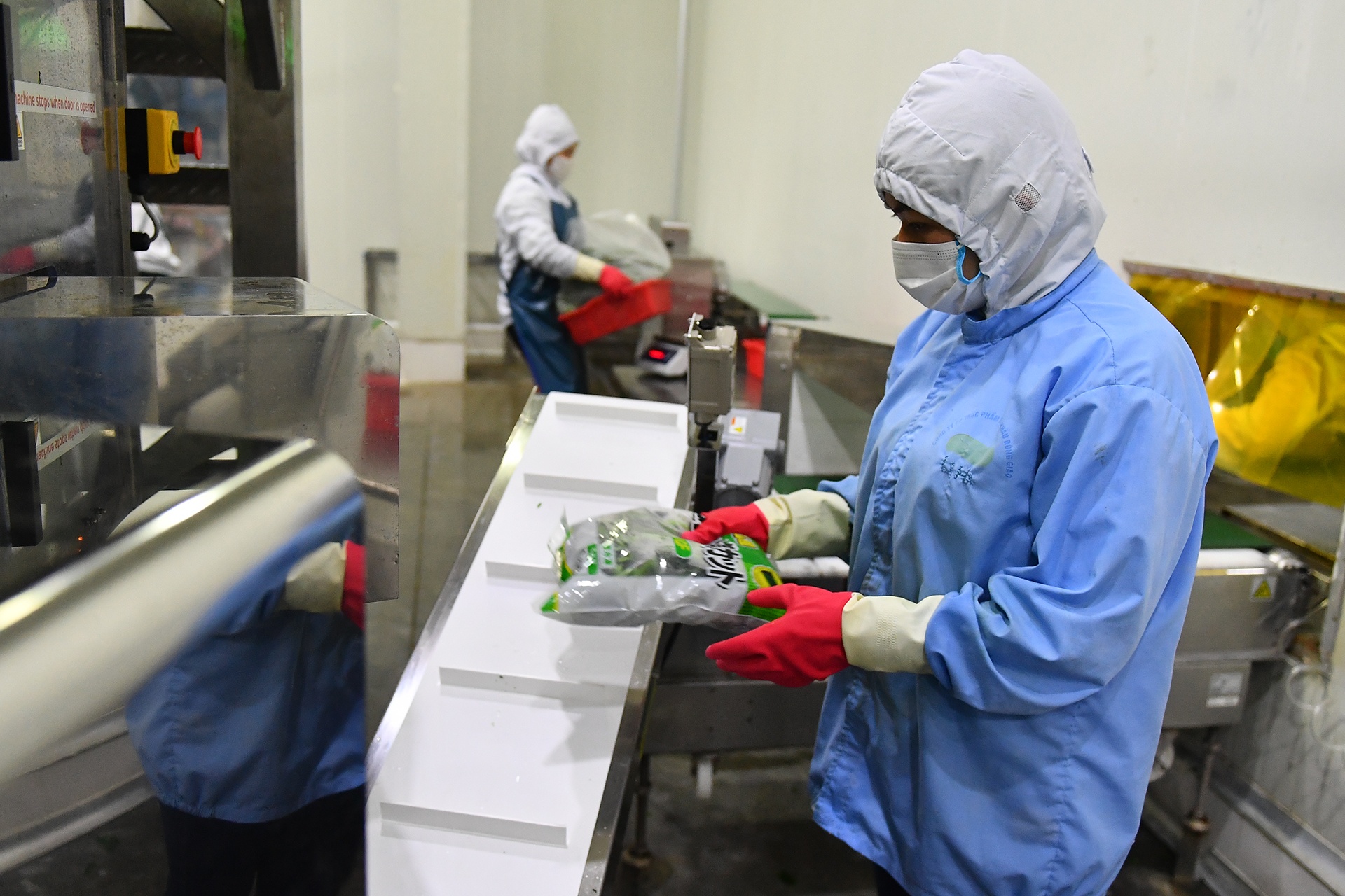 GDP quy I tang 3,82% hinh anh