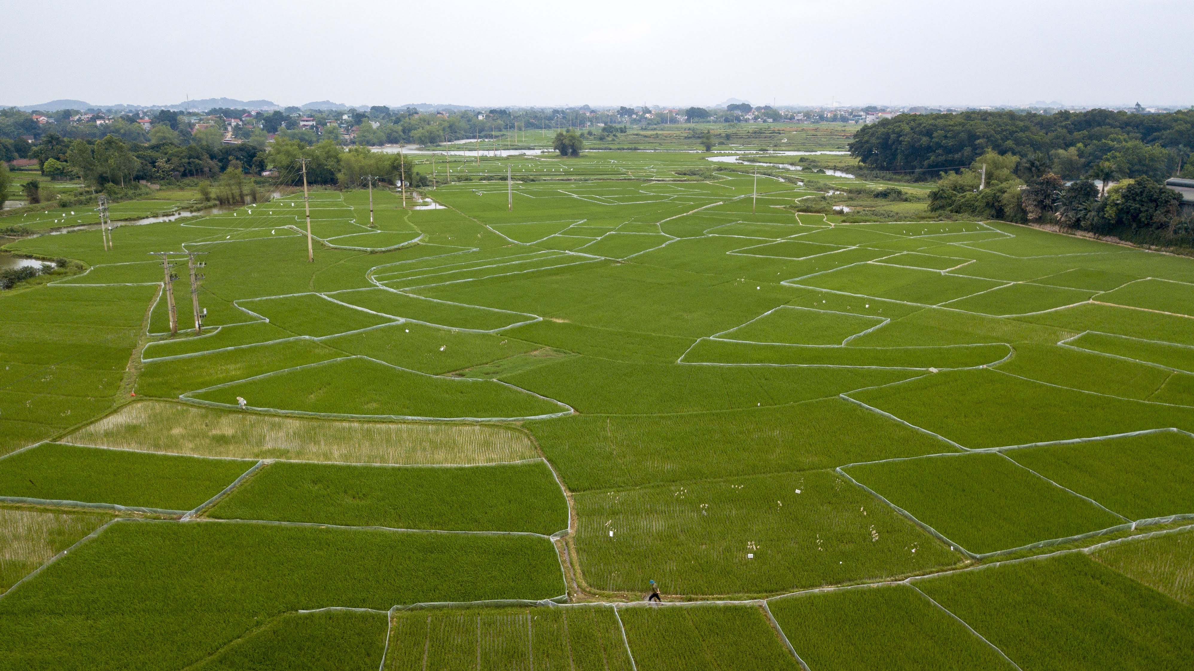 vingroup dau tu du an o thach that anh 5