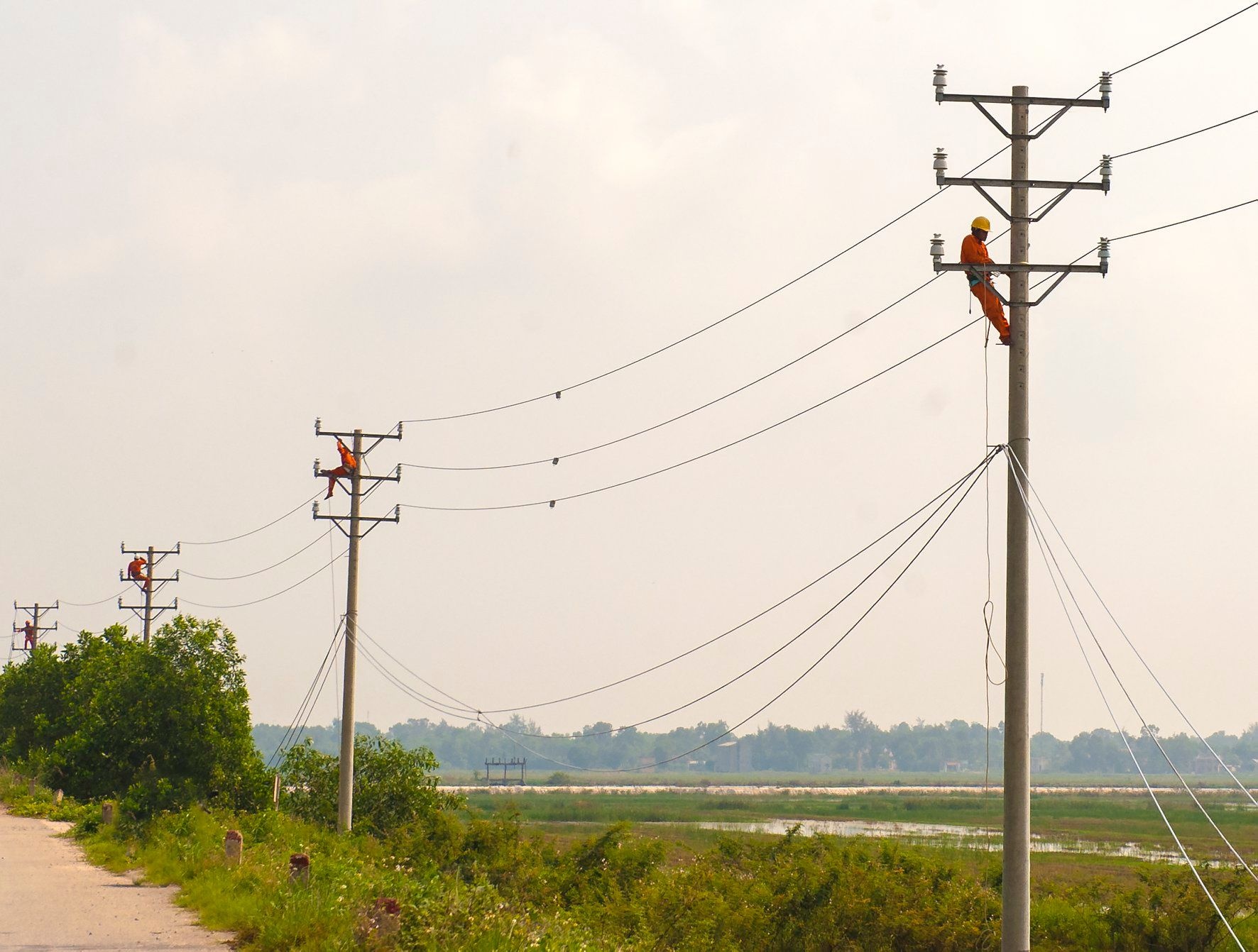 de xuat mien giam gia dien anh 1