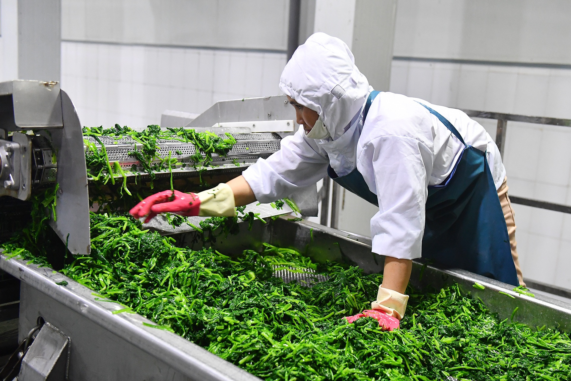 Doanh nghiep duoc moi hien ke tai khoi dong nen kinh te hinh anh