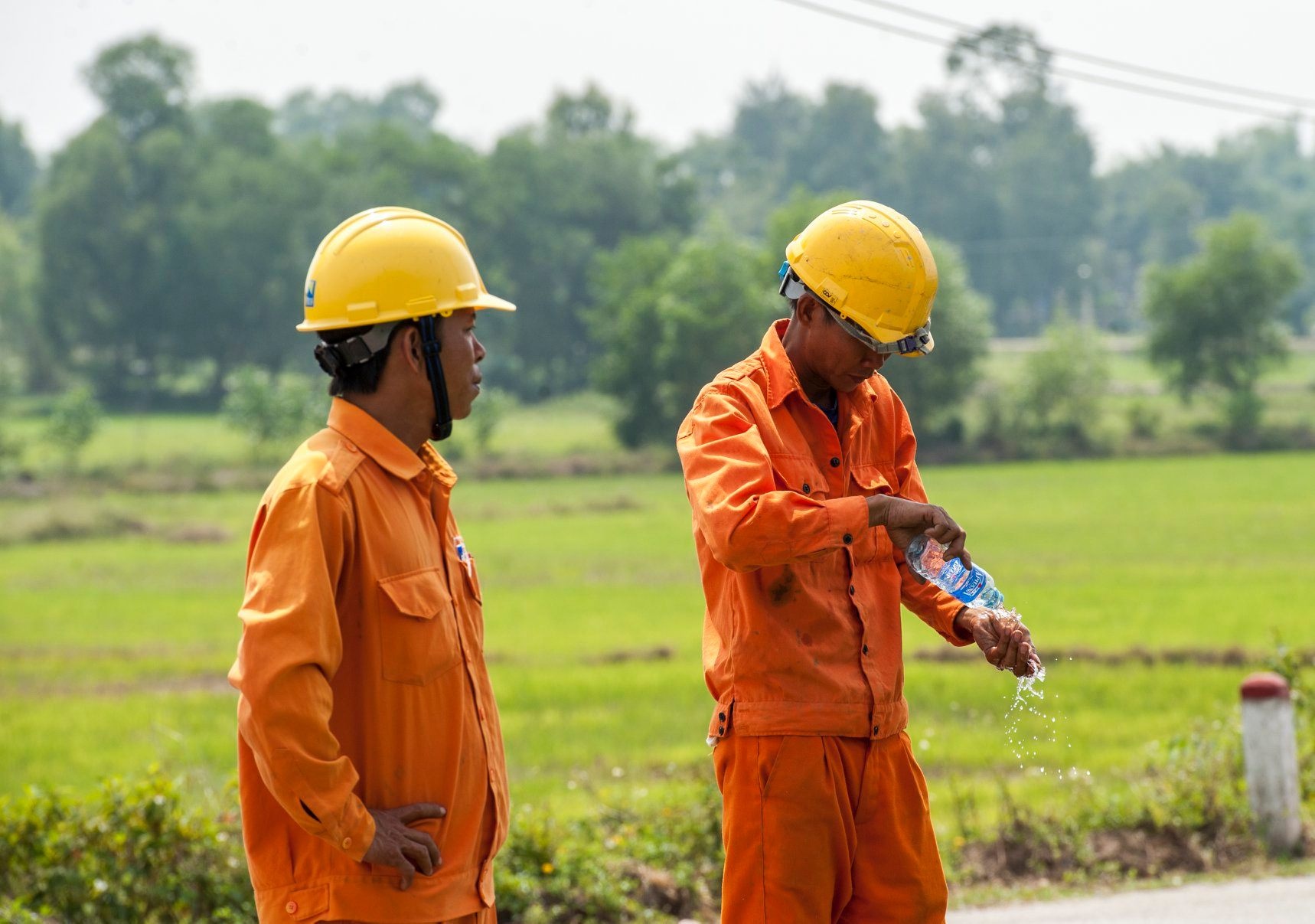 Xin rut phuong an dien mot gia hinh anh