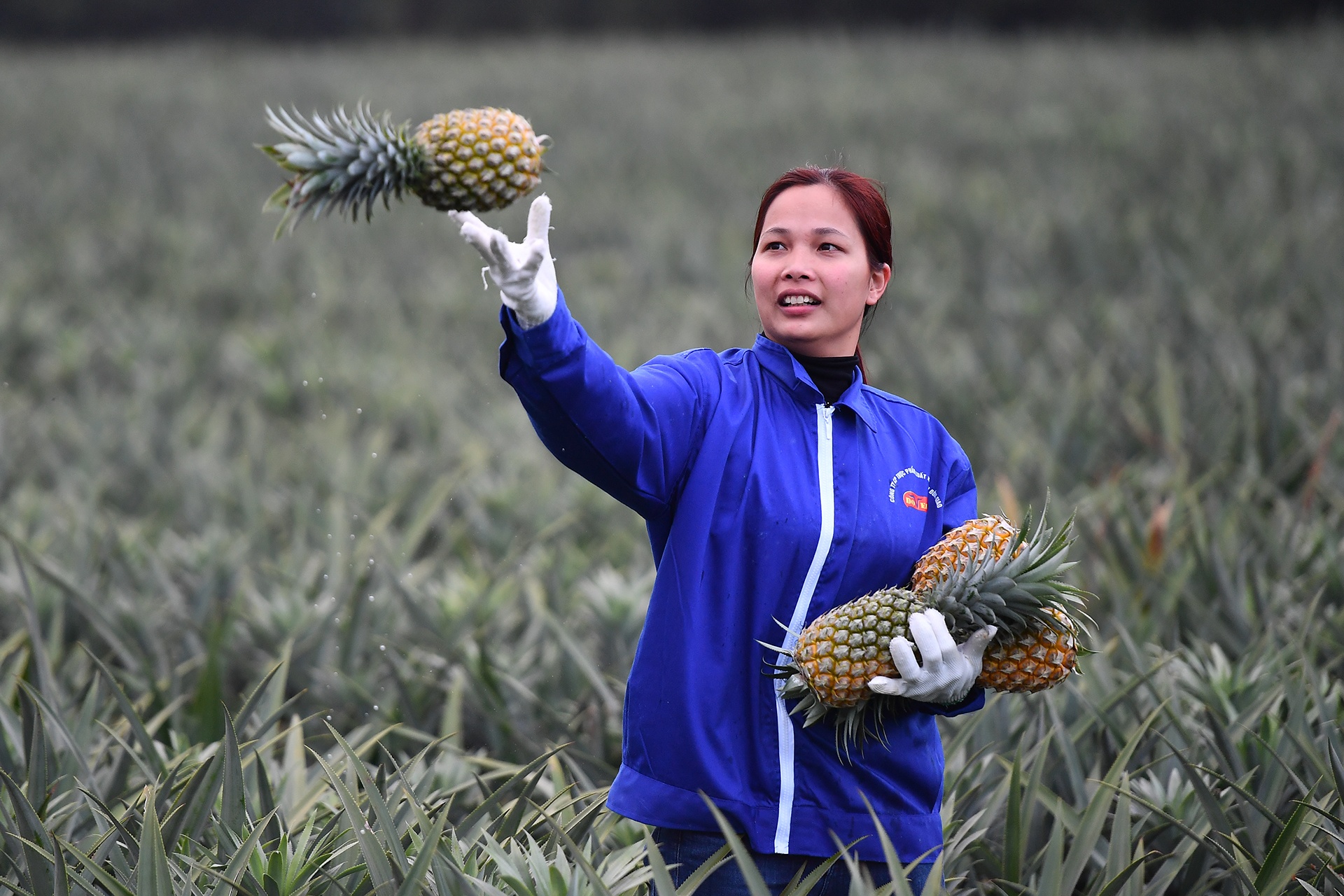 tầm nhìn việt nam 2045 ảnh 5 tam nhin viet nam 2045 anh 5