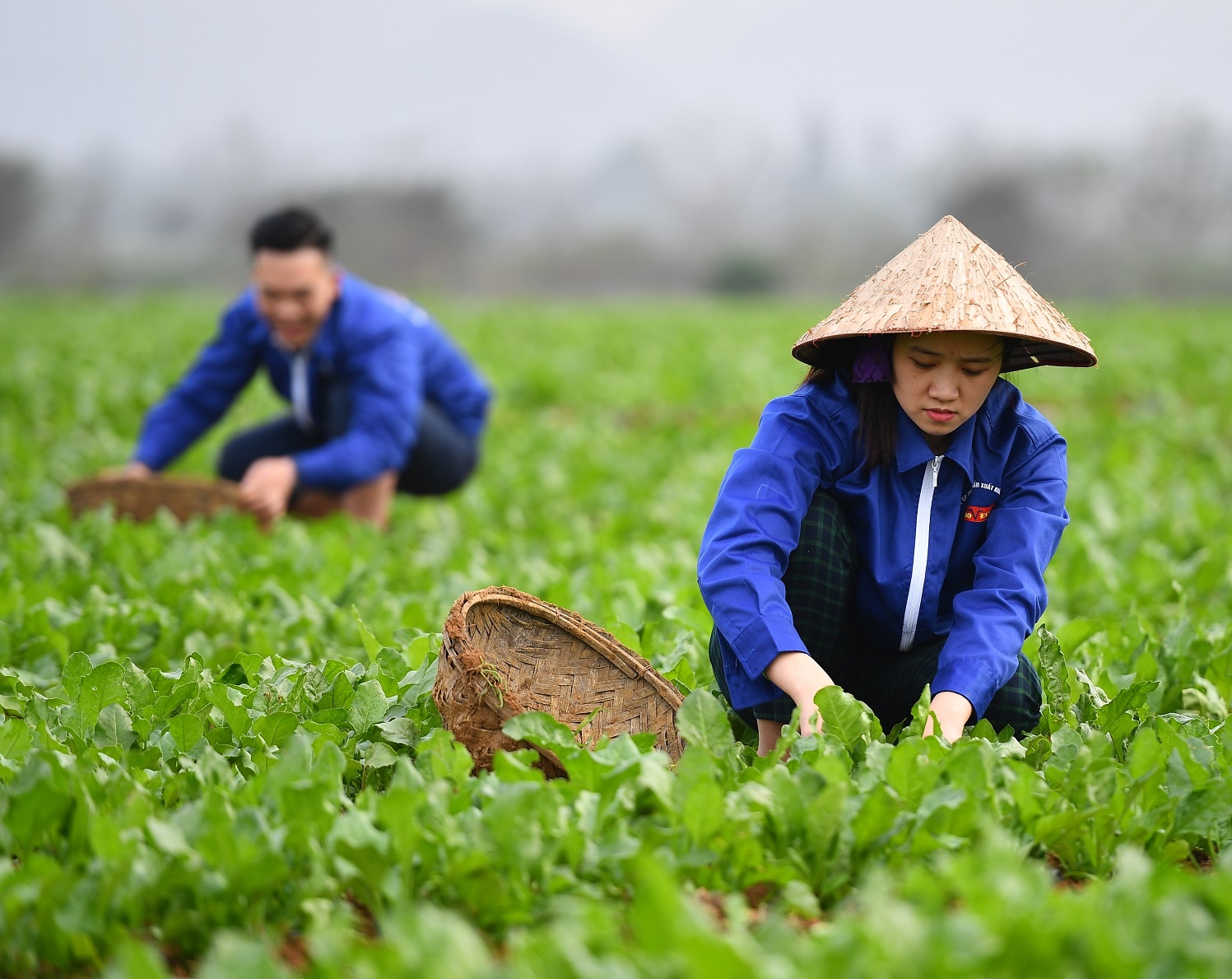 70 nam ban kinh te trung uong anh 3