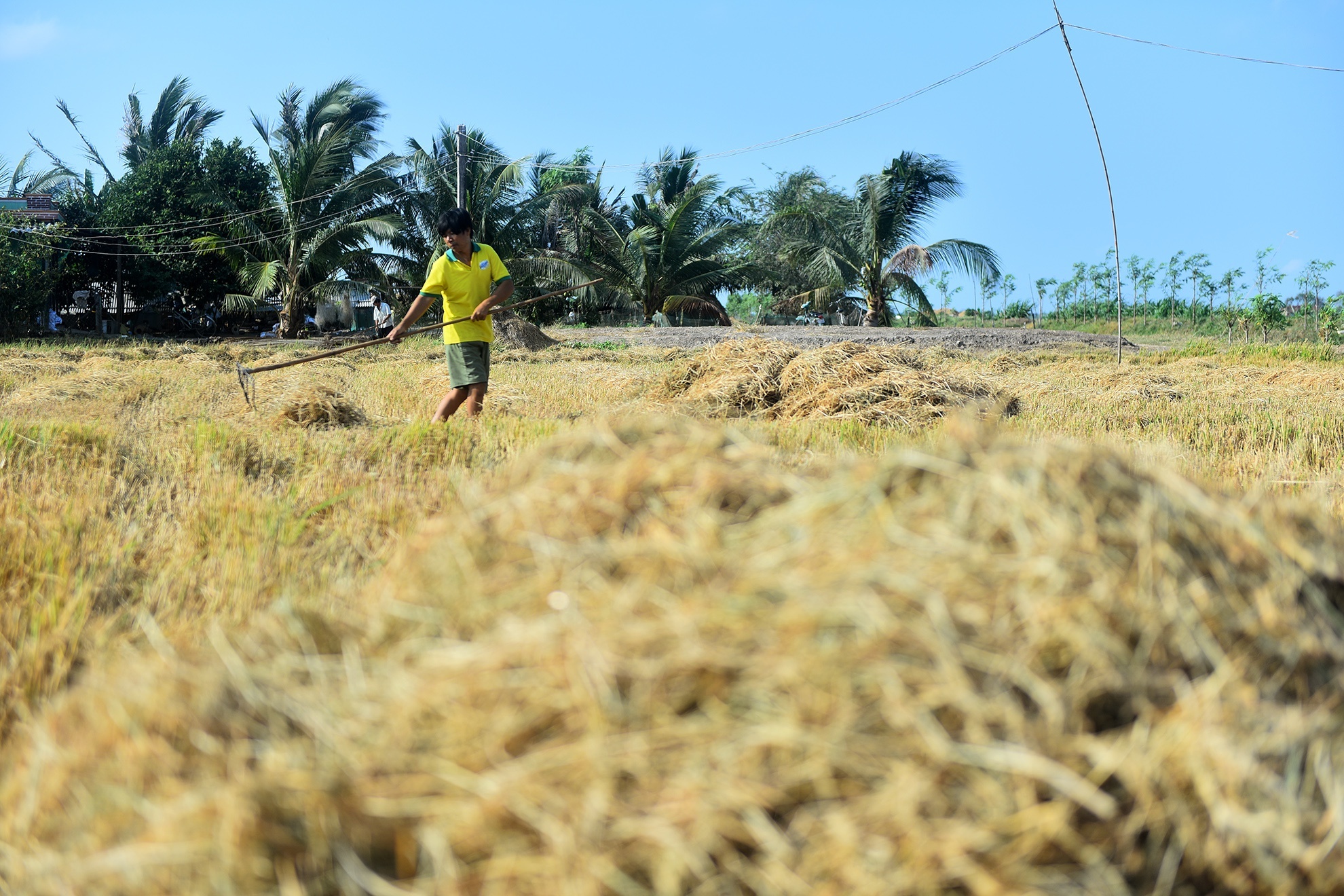 quy hoach dong bang song cuu long anh 3