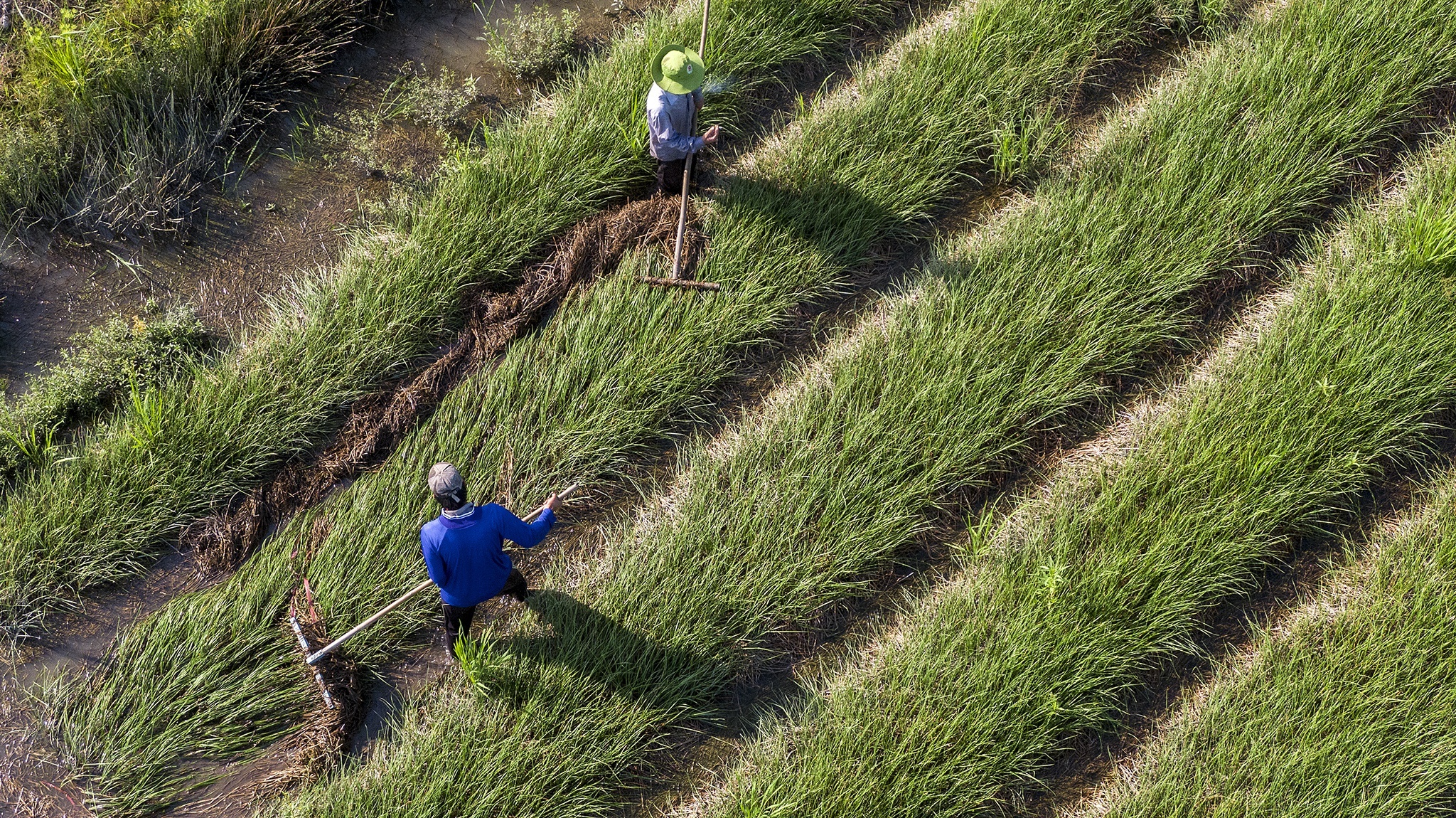 quy hoach dong bang song cuu long anh 1