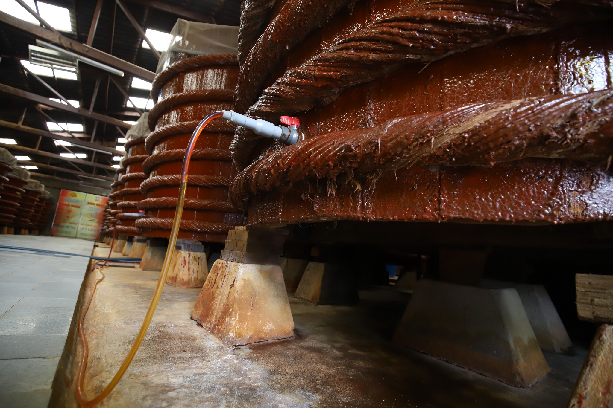 phu quoc,  thanh pho dao,  dao ngoc,  dao phu quoc,  du lich phu quoc,  ha tang phu quoc,  do thi dao,  thanh pho phu quoc anh 8