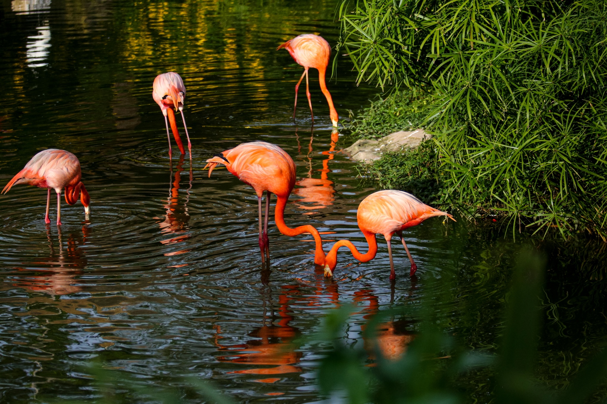 phu quoc,  thanh pho dao,  dao ngoc,  dao phu quoc,  du lich phu quoc,  ha tang phu quoc,  do thi dao,  thanh pho phu quoc anh 29