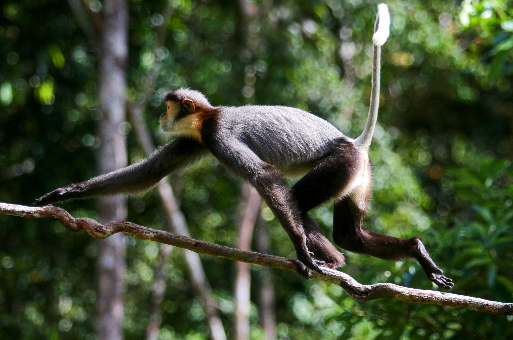 phu quoc,  thanh pho dao,  dao ngoc,  dao phu quoc,  du lich phu quoc,  ha tang phu quoc,  do thi dao,  thanh pho phu quoc anh 32