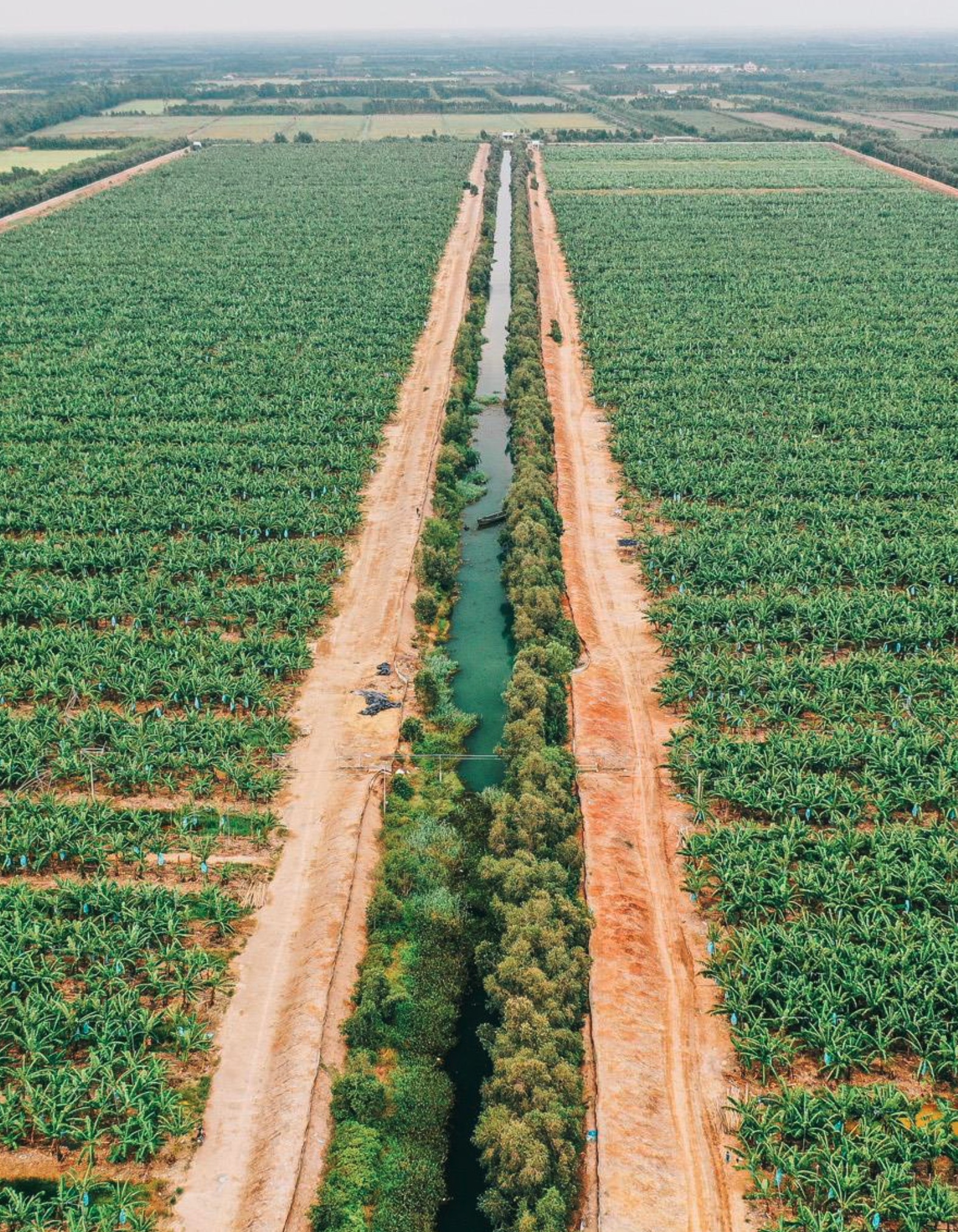 Con đường đến top 15 thế giới của nông nghiệp Việt Nam