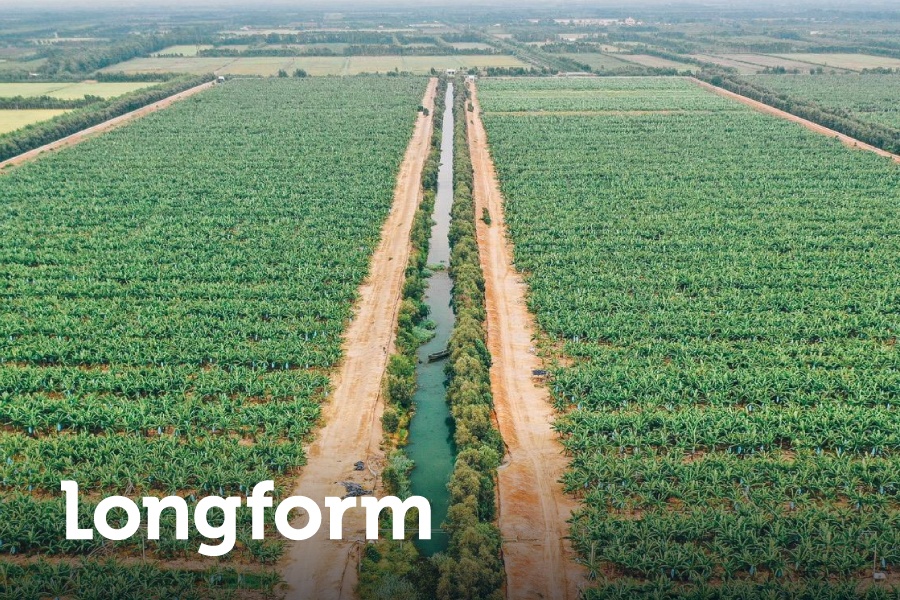 Con duong den top 15 the gioi cua nong nghiep Viet Nam hinh anh