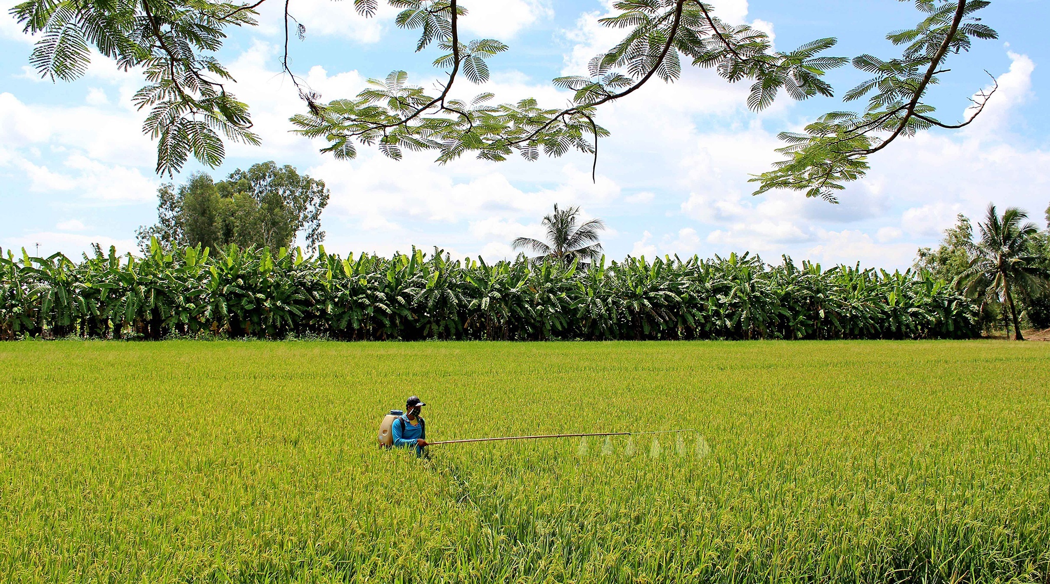 sinh ke o mien tay anh 2