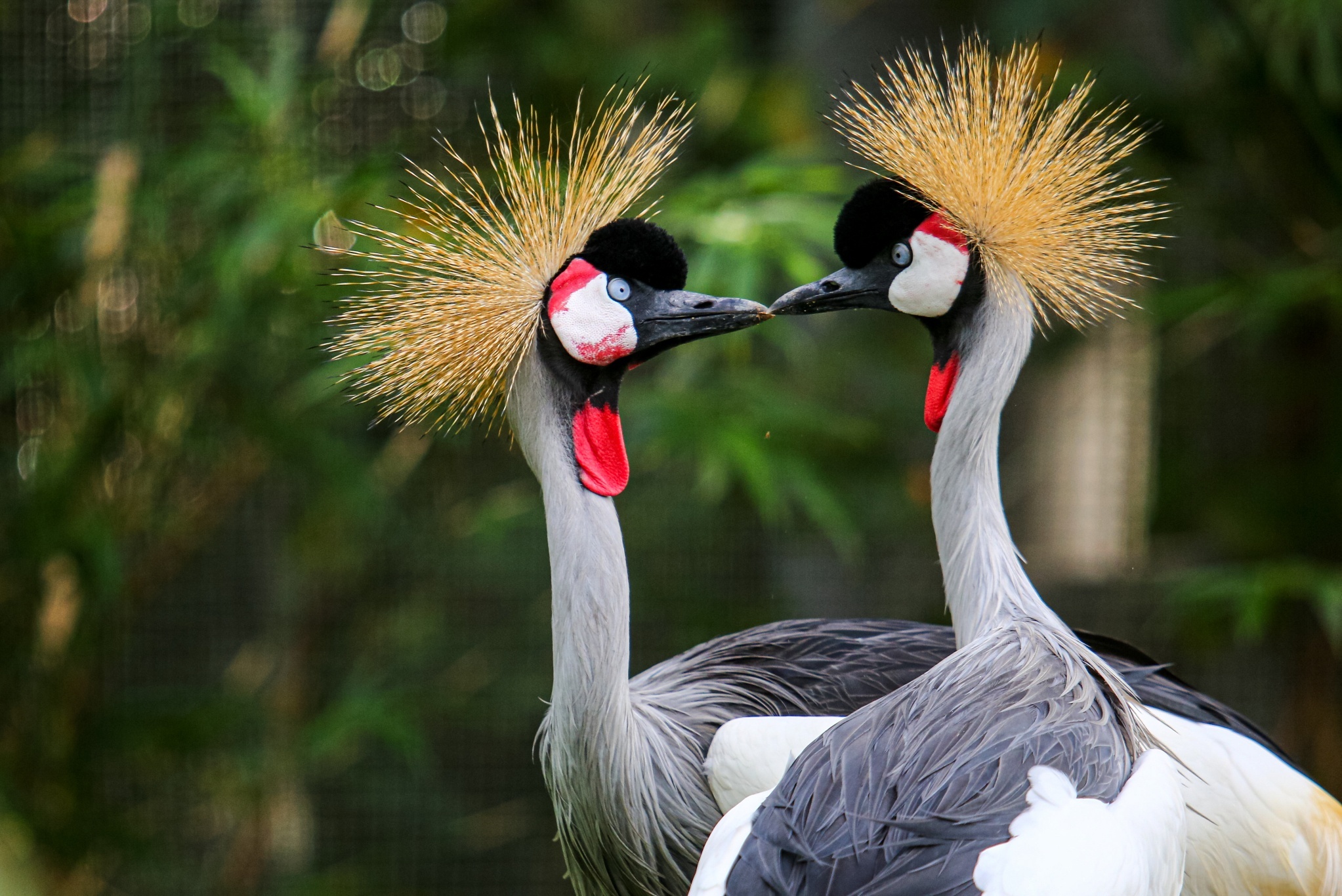 don 2 3 trieu khach den phu quoc anh 5