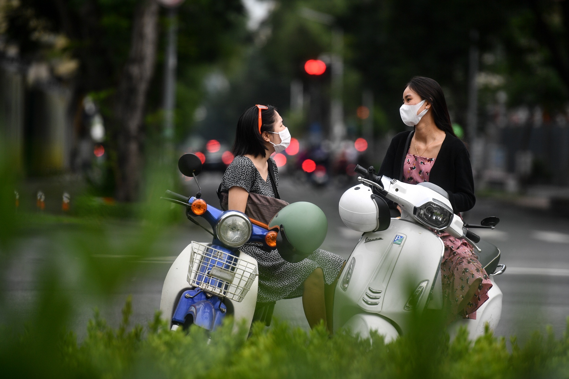 phan vung noi long tp hcm anh 2