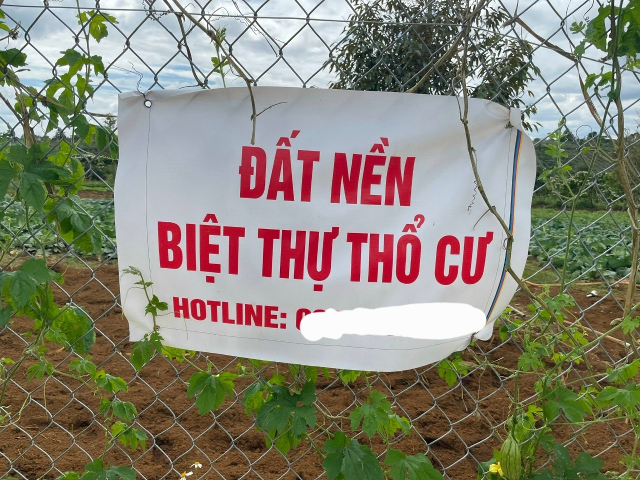 Can bo 'ngam ho so' de thu duoc thue cao trong giao dich dia oc hinh anh