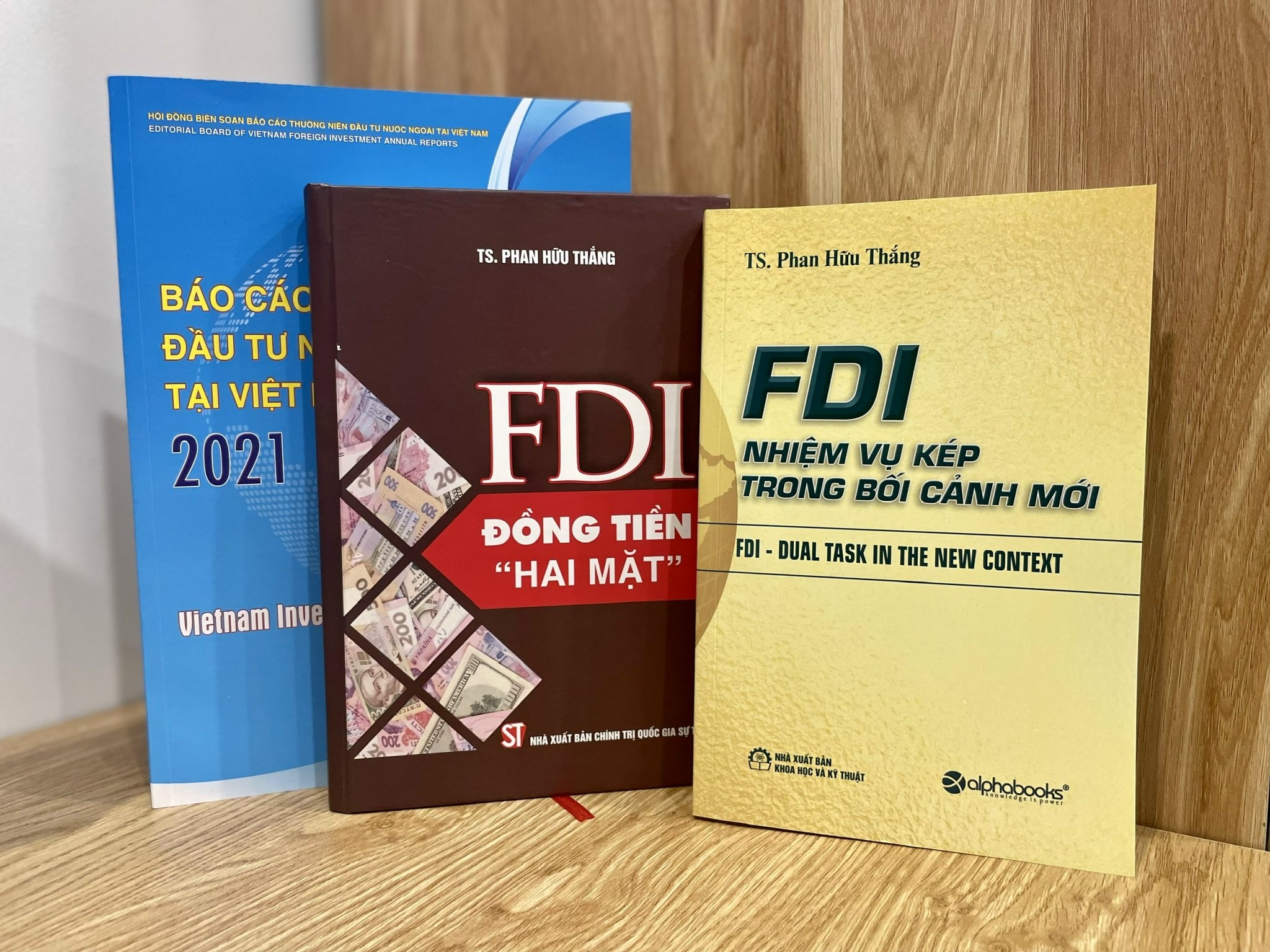 ts phan huu thang anh 2