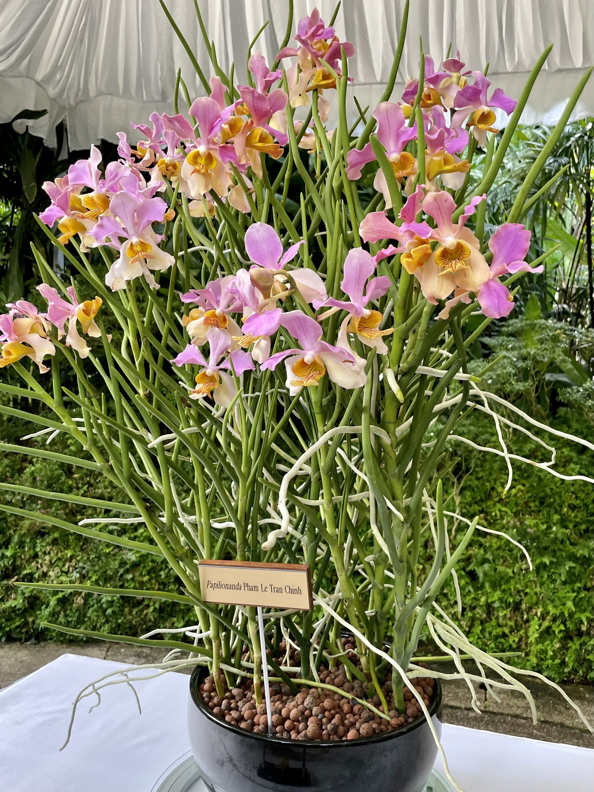 thu tuong tham singapore anh 2