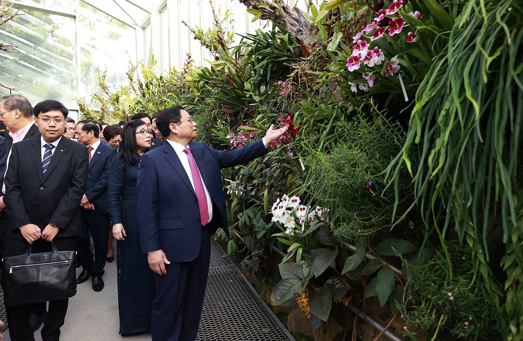 Ten cua Thu tuong va phu nhan duoc dat cho giong hoa lan o Singapore hinh anh