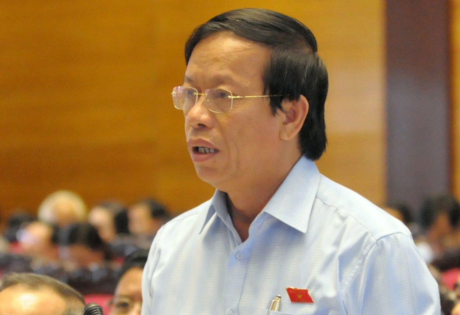 Le Phuoc Hoai Bao anh 2