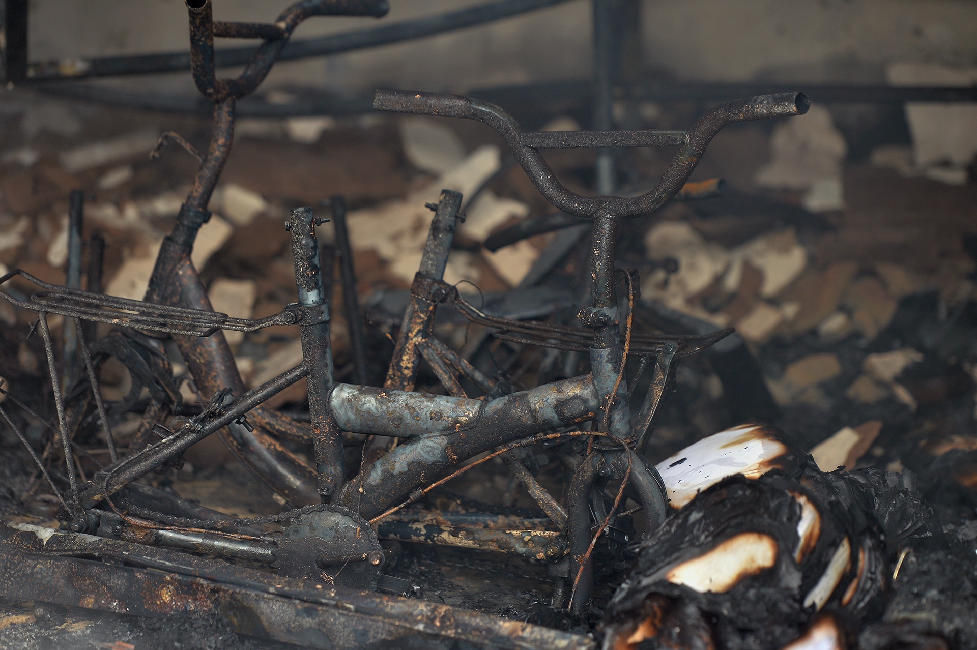 chay cho o Ha Noi anh 7