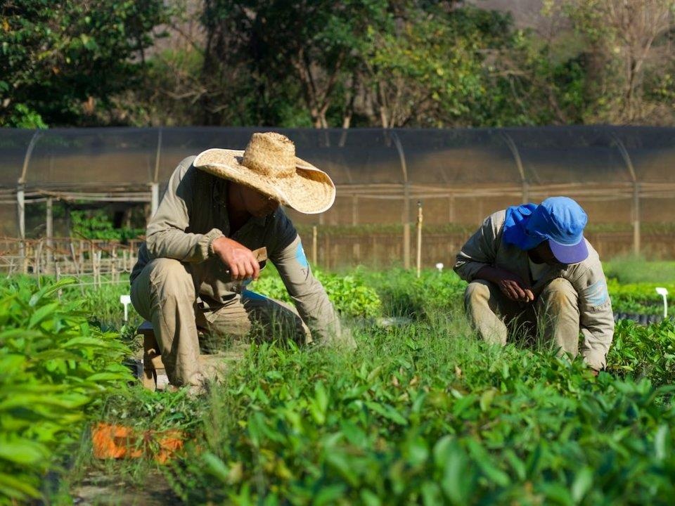 Giai cuu Amazon voi cong cu tim kiem anh 2