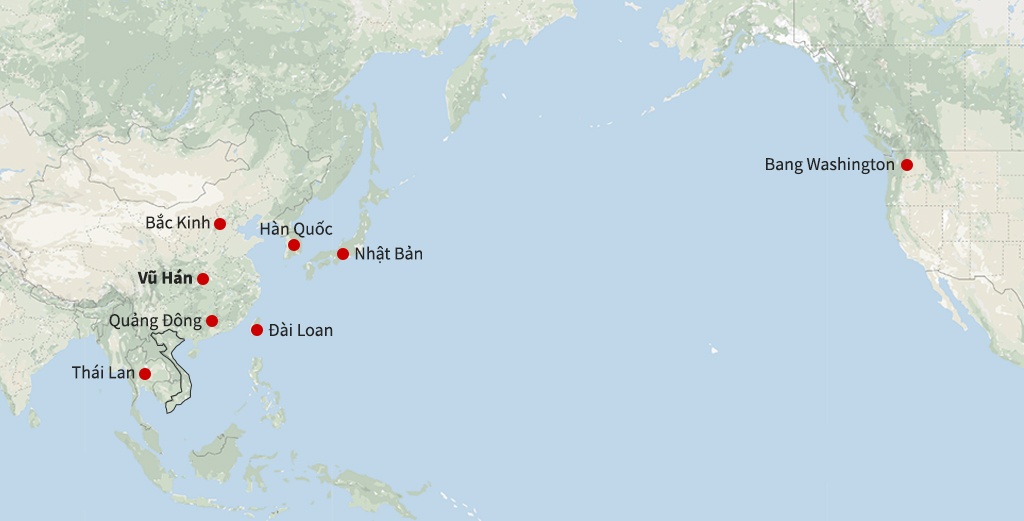 Mang xa hoi Trung Quoc xon xao vi virus la anh 2