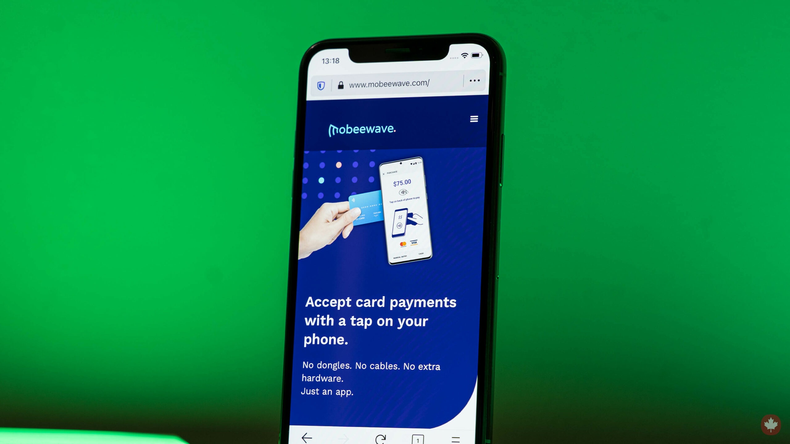 Apple vung 100 trieu USD hien thuc tham vong thanh toan dien tu hinh anh