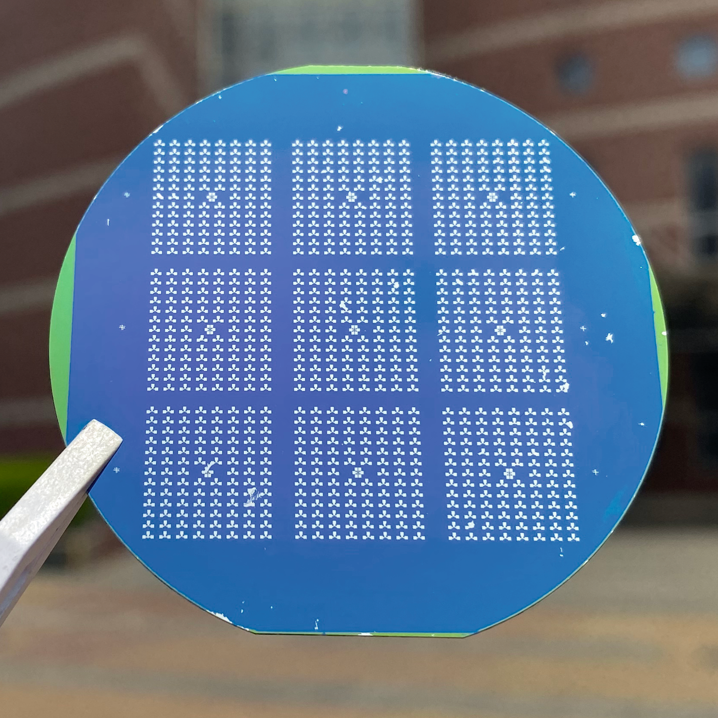 Vat chat ky dieu anh 3