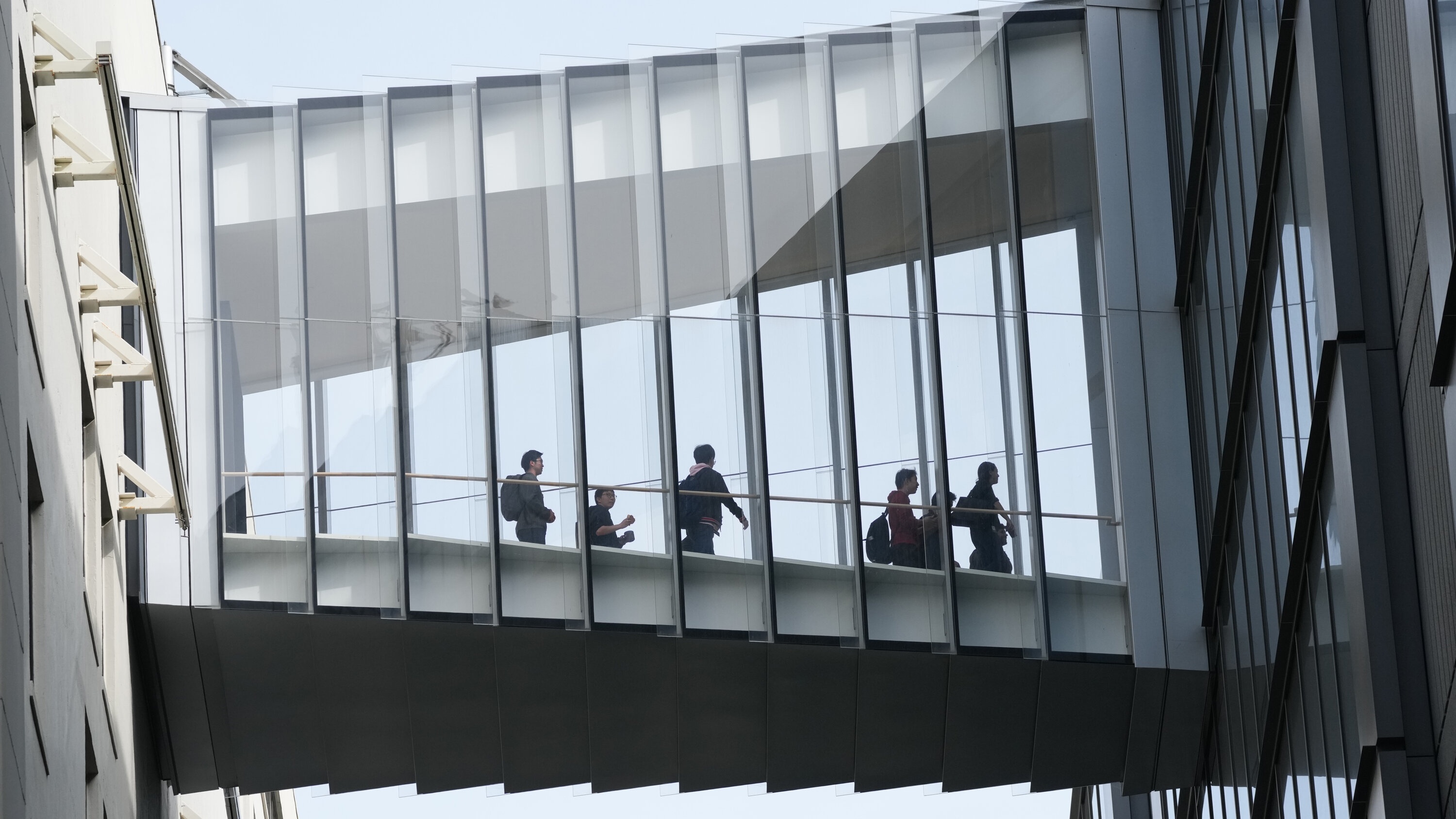 Nhan vien Twitter nghi anh 1