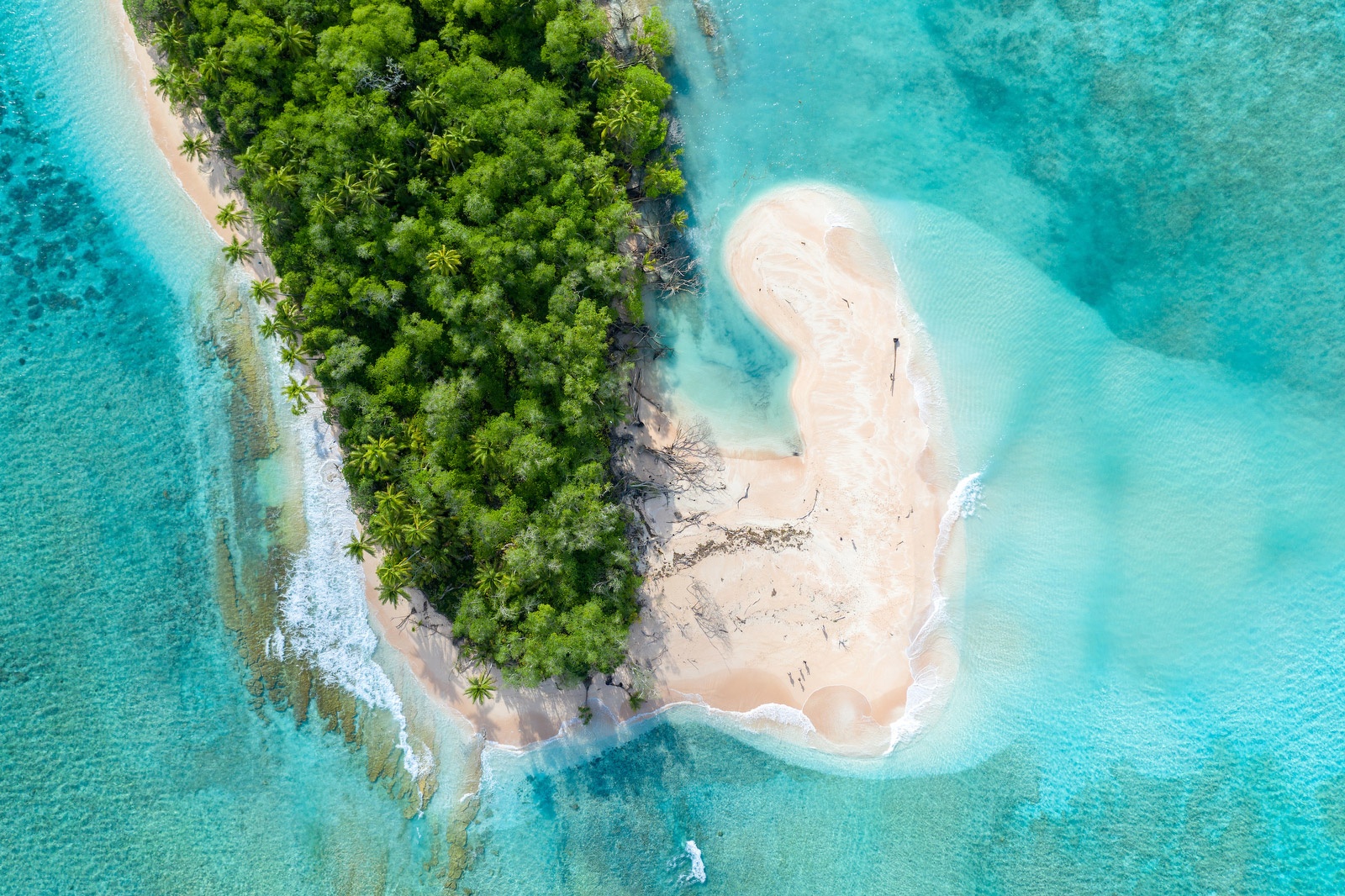 Quoc gia dau tien tren the gioi duoc 'so hoa' tren metaverse hinh anh