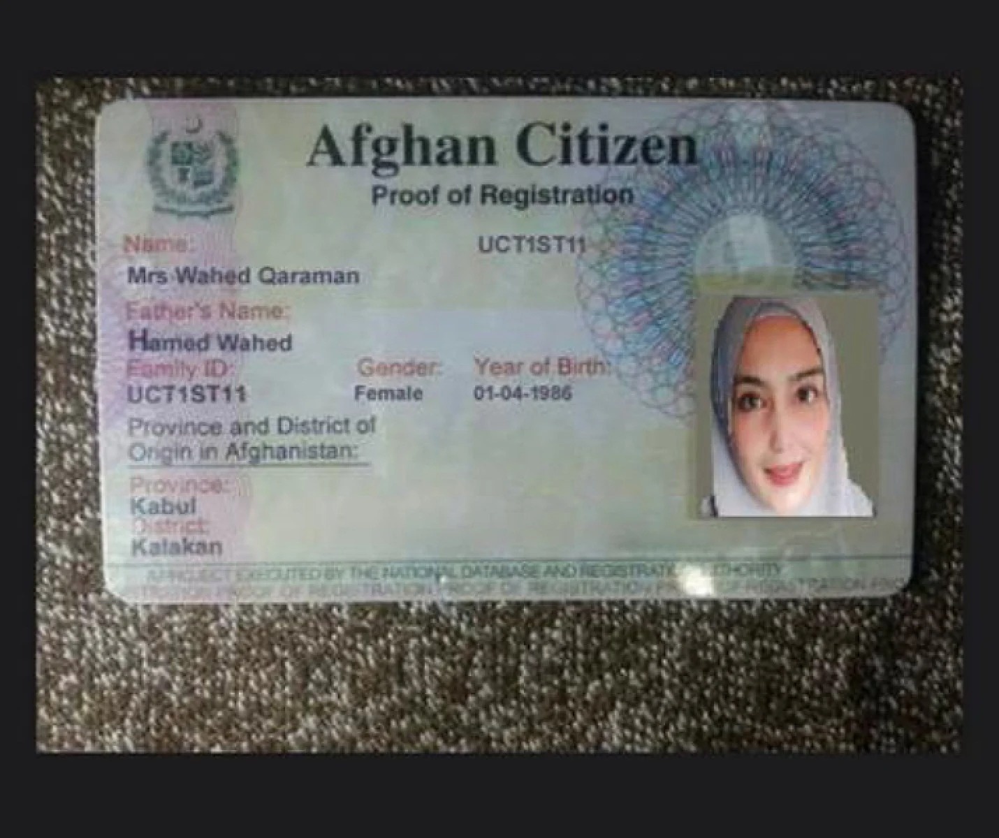 lua dao qua mang anh 5