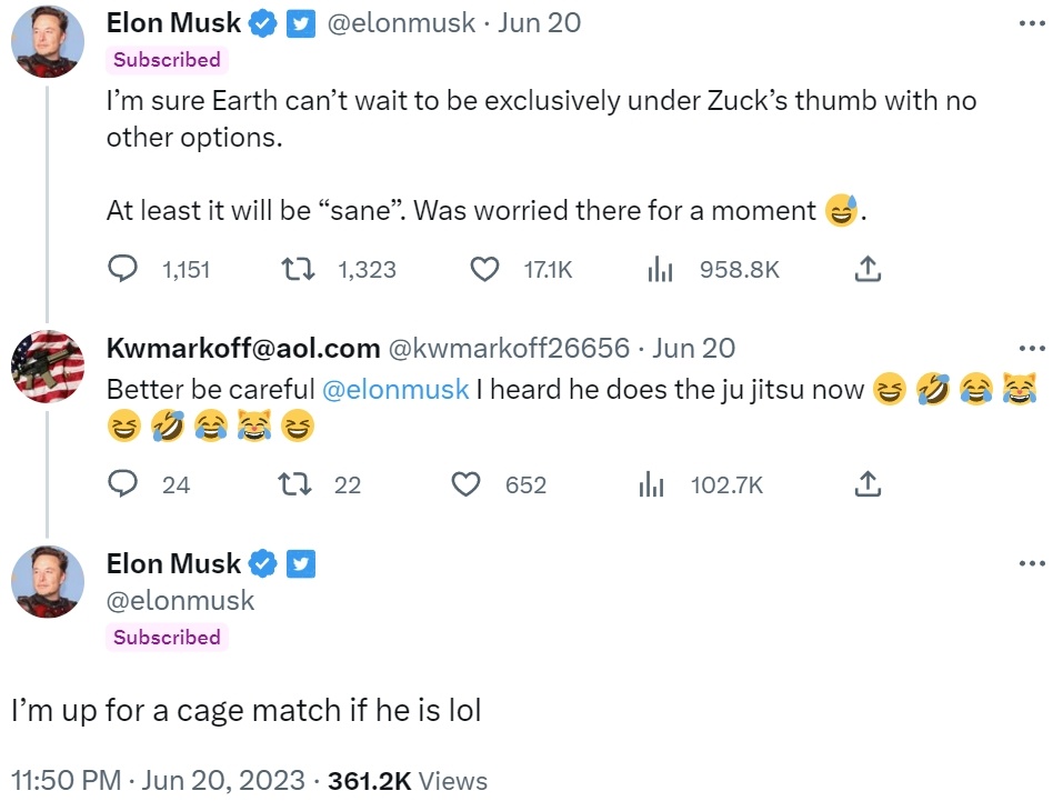 Elon Musk anh 2